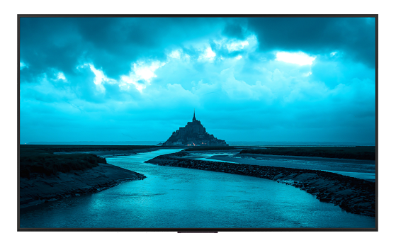 Màn hình an ninh S400 110 inch